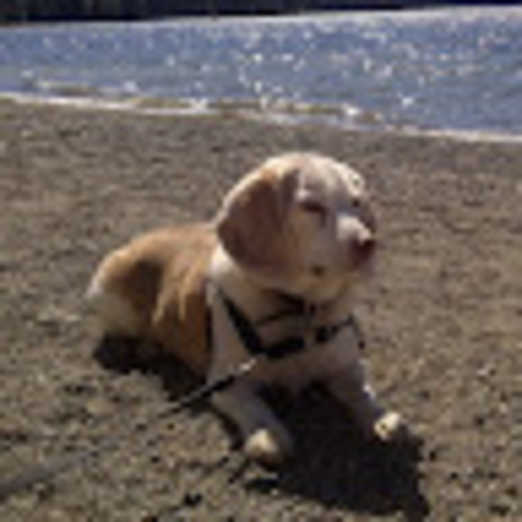 Meet your Posher, Megan - Picture 1 of 1